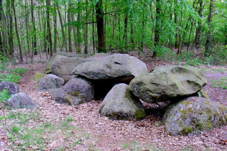 dolmen d7 kniphorstbos