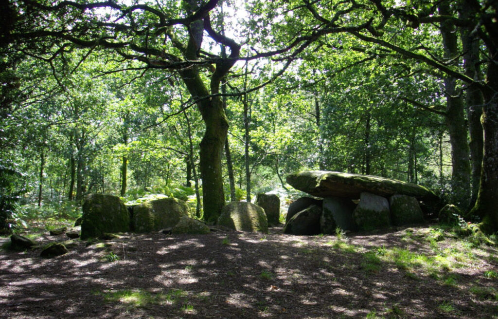 loge-au-loup