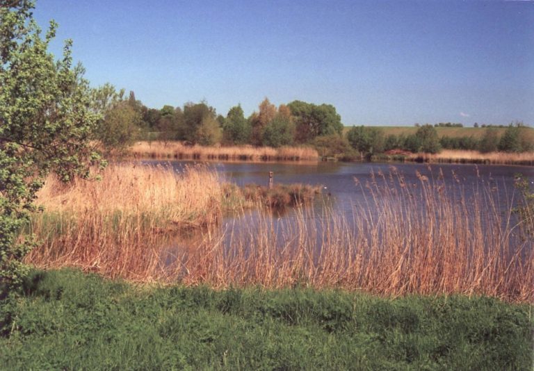 Niederdorla sacrificial moor