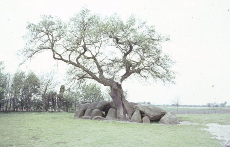 dolmen d17