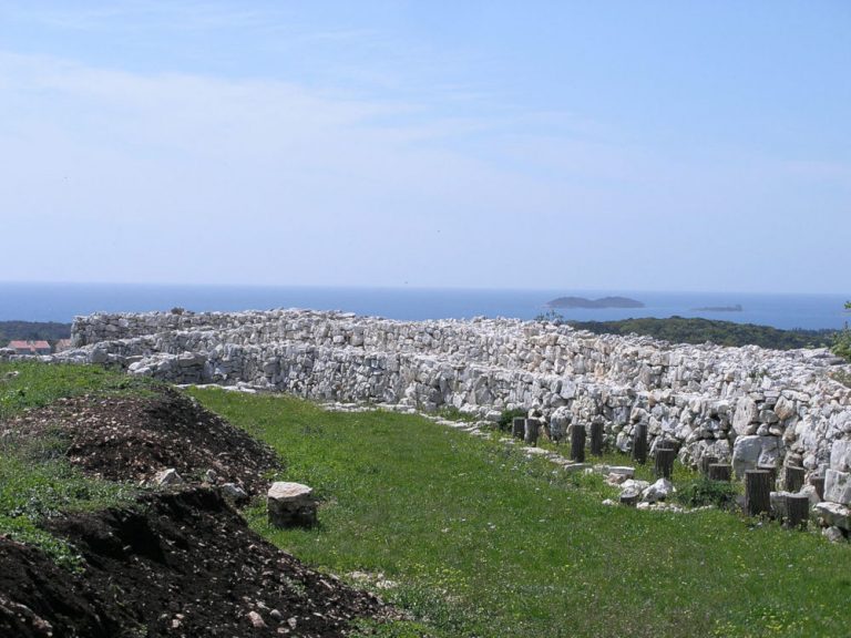monkodonja