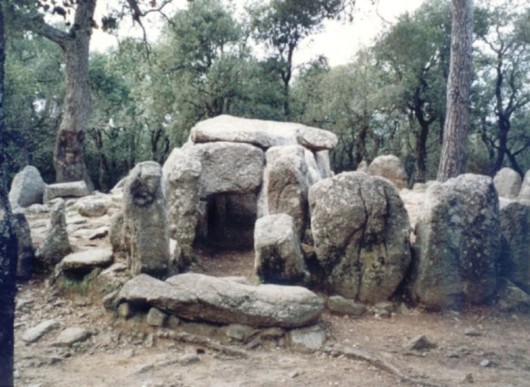 Cova d'en Daina