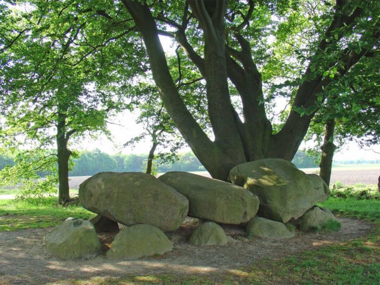 dolmen d21