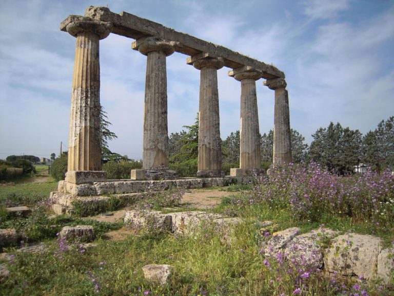 tavole palatine