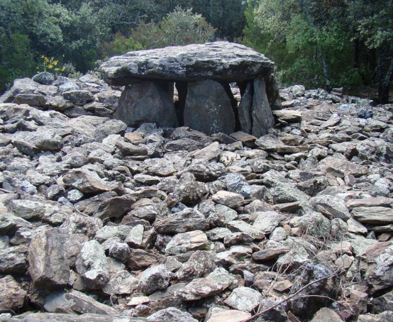 Dolmen of the Coll de la Llosa