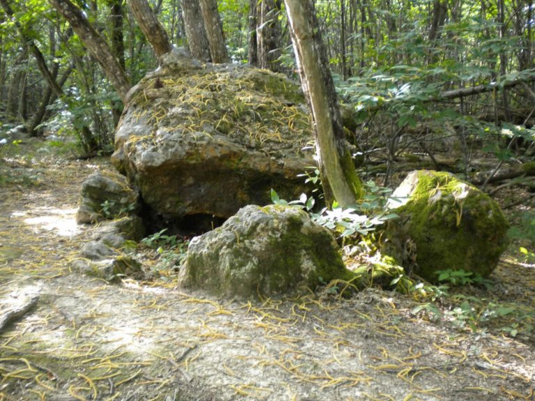 dolmen peyre brune
