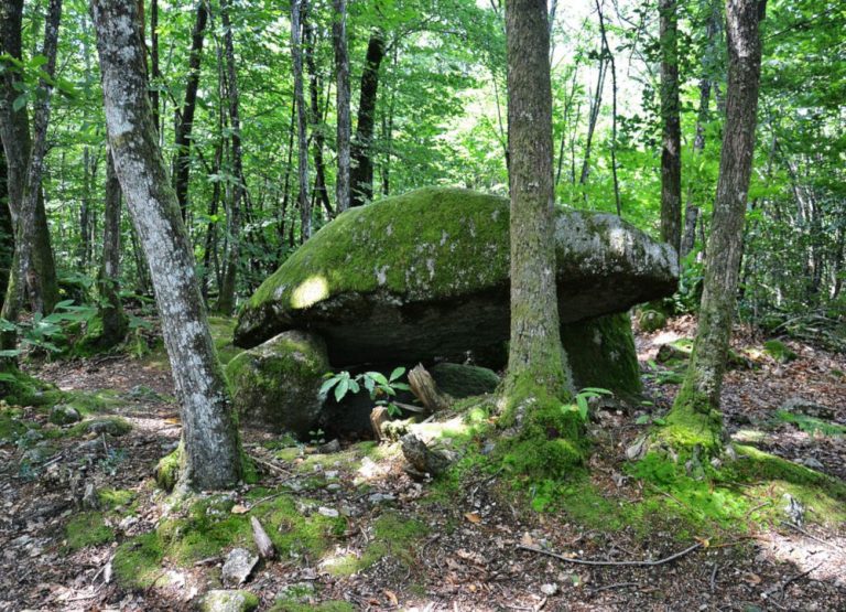 Dolmen du Bois de la Lieue