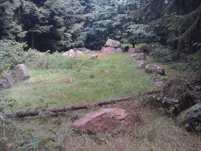 Langdysse in Avnede Skov