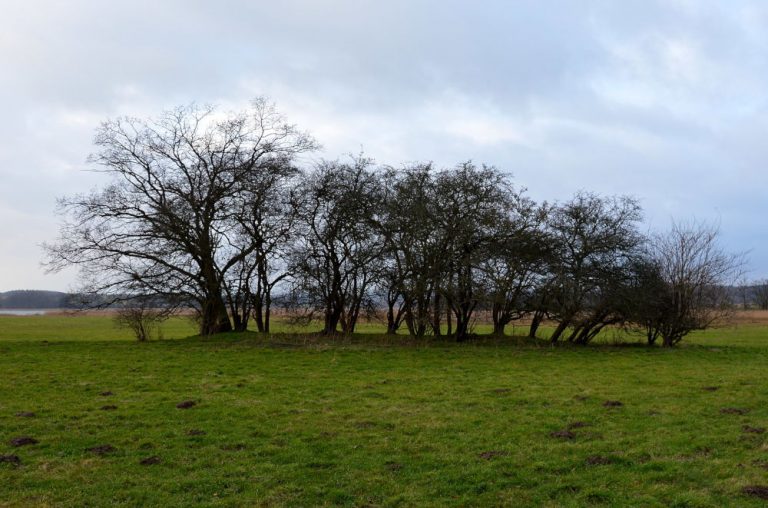 baabe dolmen