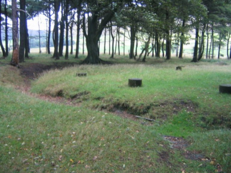 bleasdale timber circle