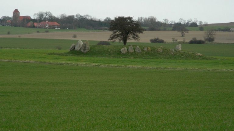 busemarke langdysse