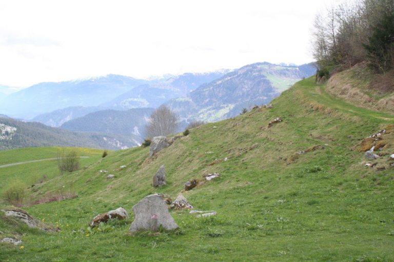 parc la mutta