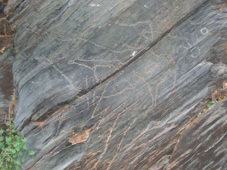 siega verde