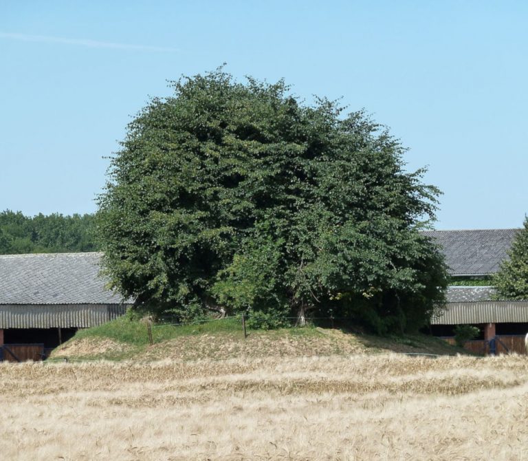 hanret tumulus