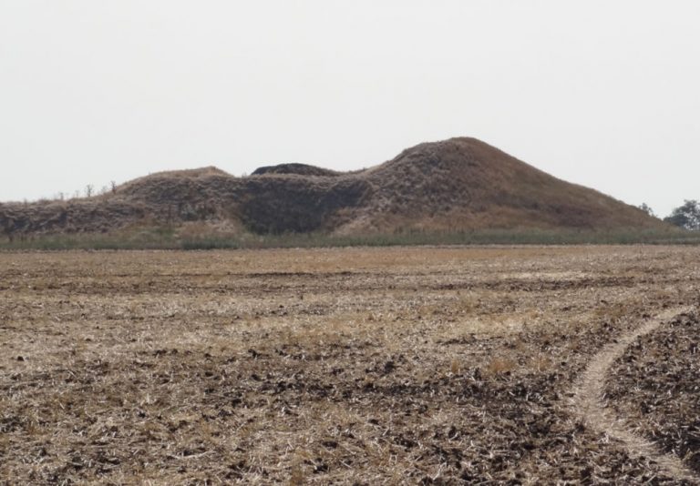 solokha kurgan