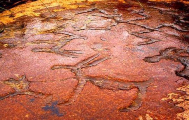 Chalmny-Varre petroglyphs