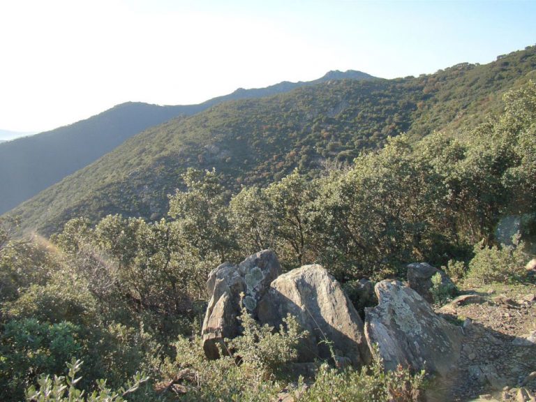 coll de la farella dolmen