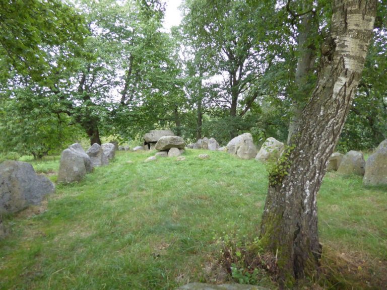 Dæmpegårdsdyssen