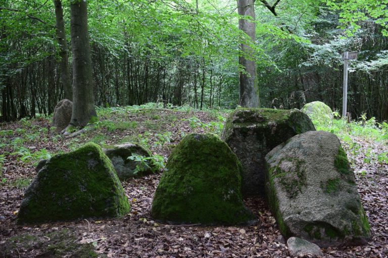 Dolmens at Dambeck