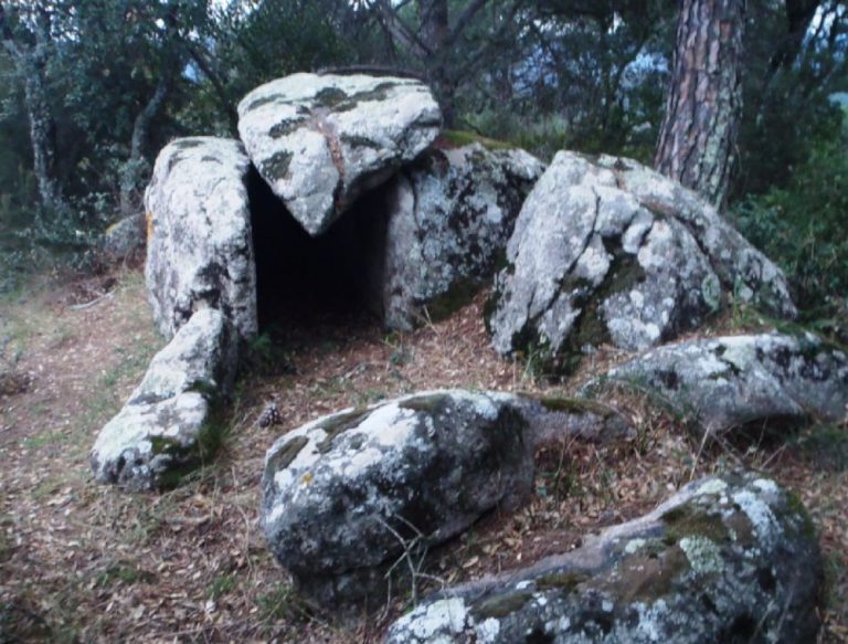 Paradolmen del Camp d’en Güitó