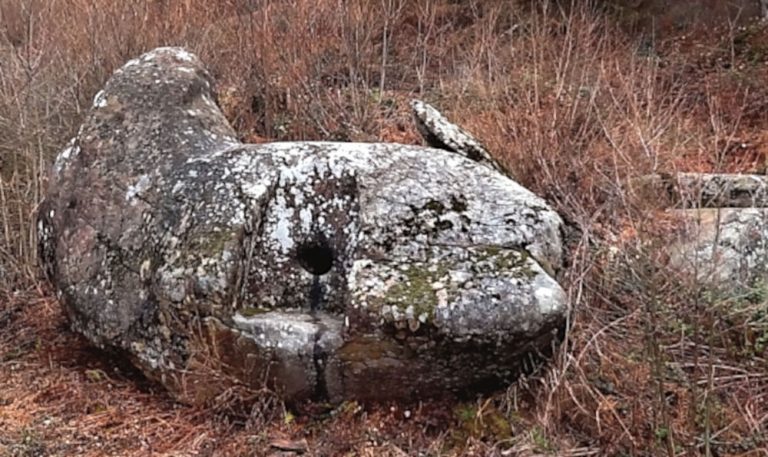 Semi-monolithic dolmen of the Vinogradny brook