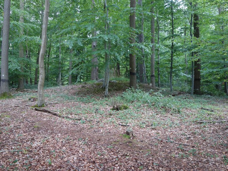 cismar dolmen