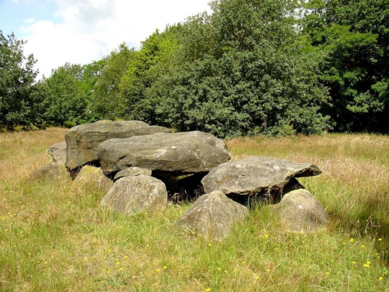 dolmen d41