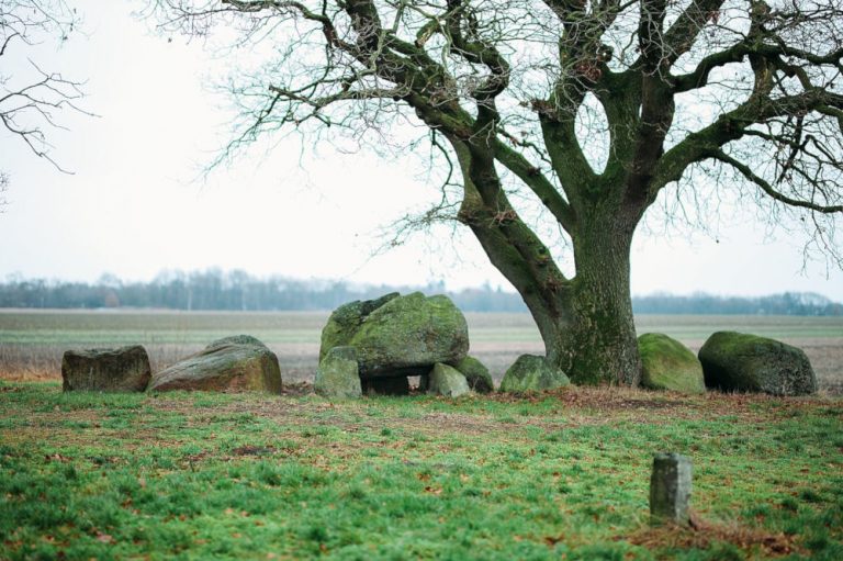 dolmen d42