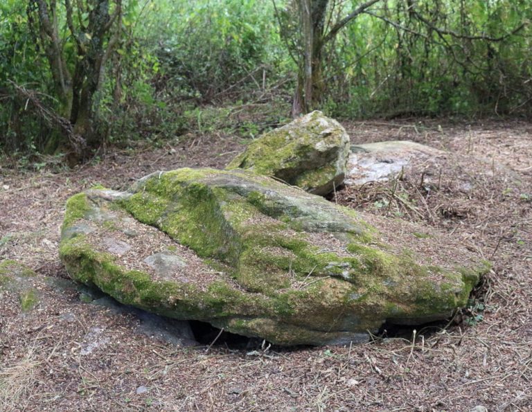 La Butte aux Gorzeaux