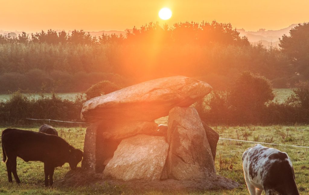 Ballynageeragh Portal Tomb