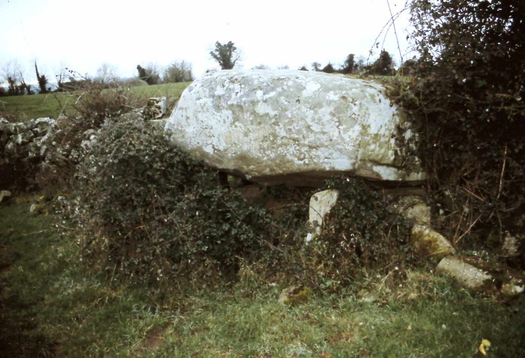 Ballygraney Portal Tomb