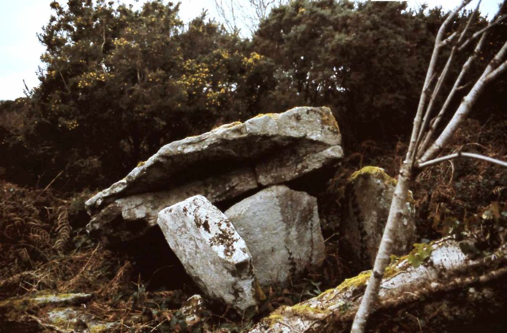 Ballynasilloge Portal Tomb