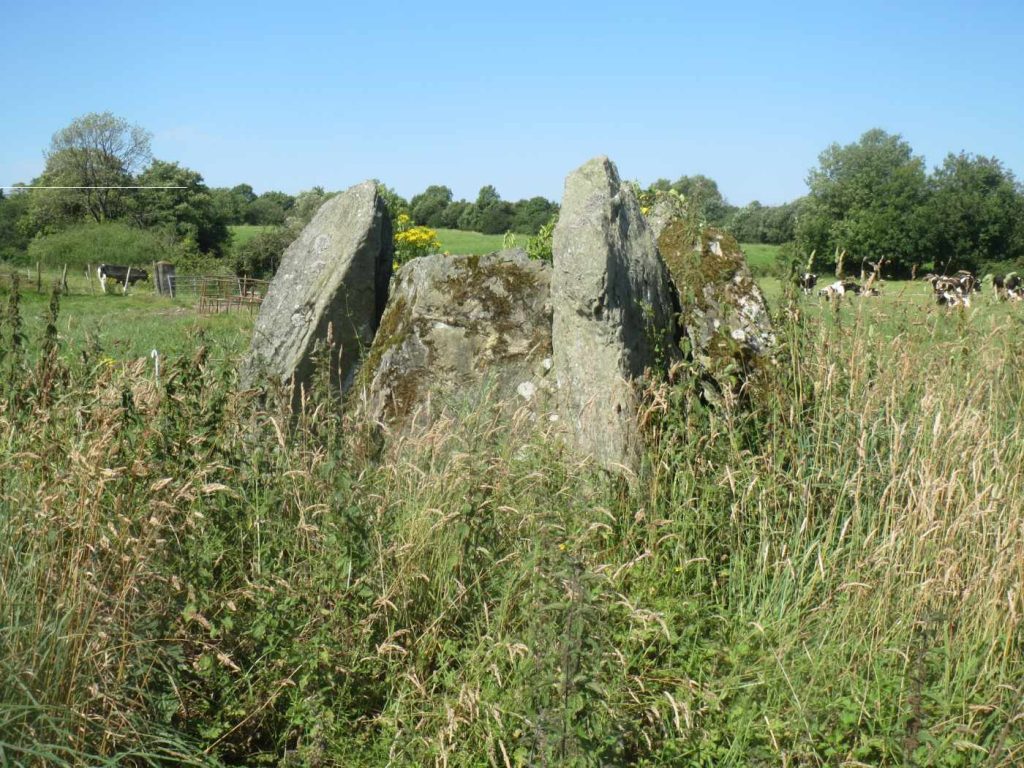 Birrinagh Portal Tomb
