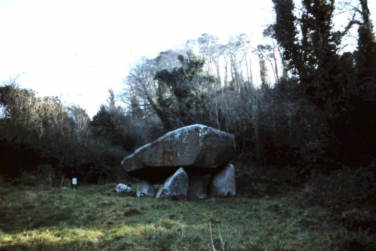 Brenanstown Dolmen