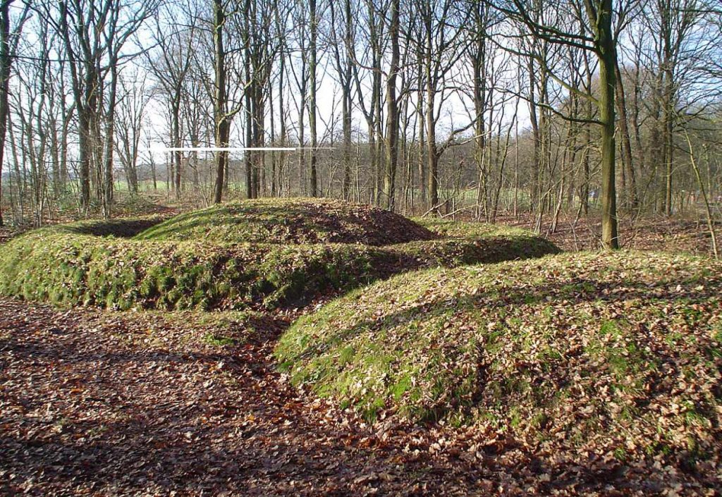 Burial mounds of Toterfout-Halve Mijl