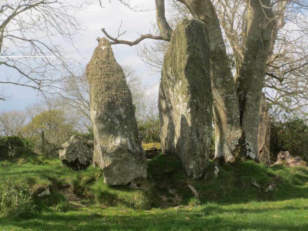 Carnaghan Portal Tomb