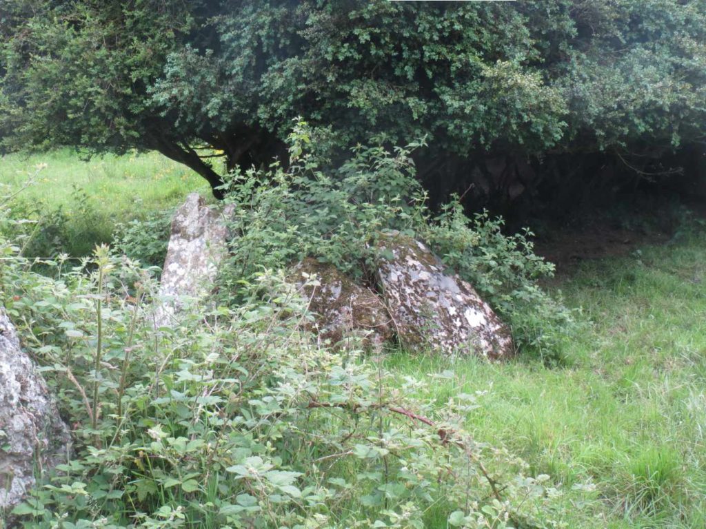 Carrickacroy Portal Tomb