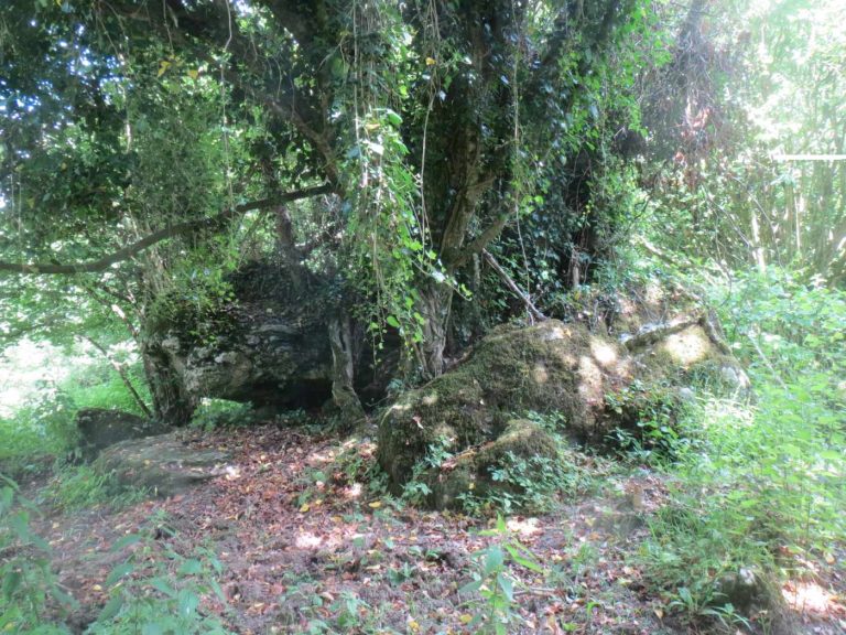 Clogher Portal Tomb