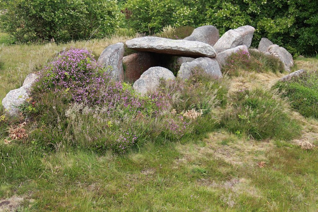 Dolmen de l'Île Renote