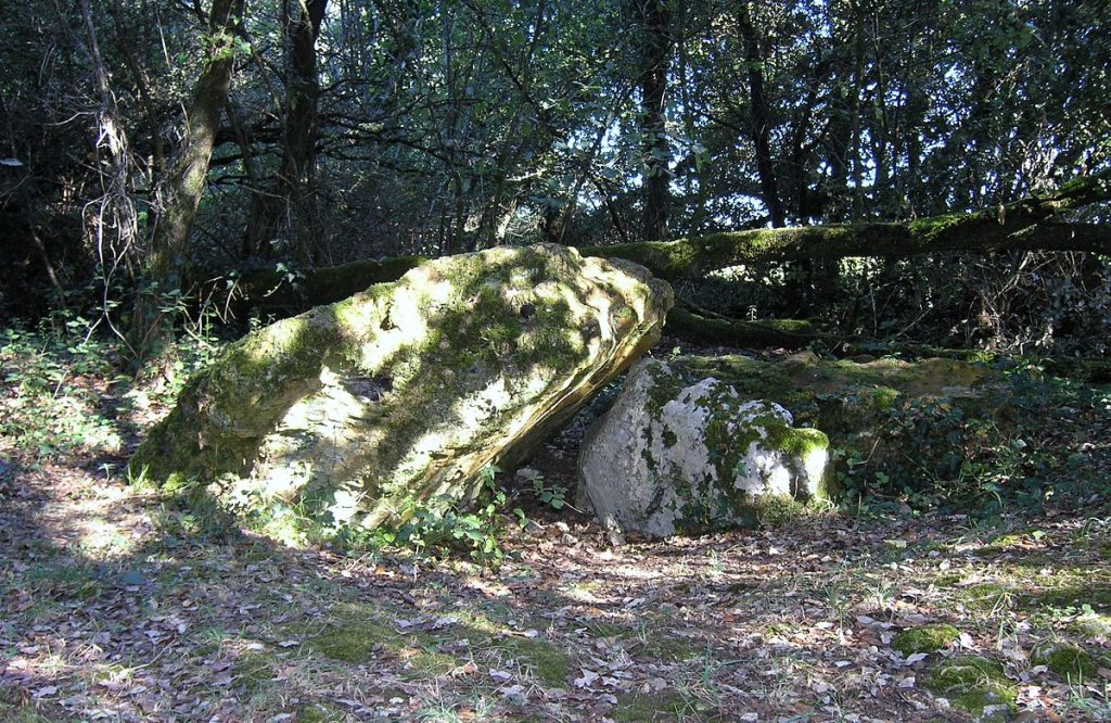Dolmen effondré appelé la Pierre Levée de Berthe-grille