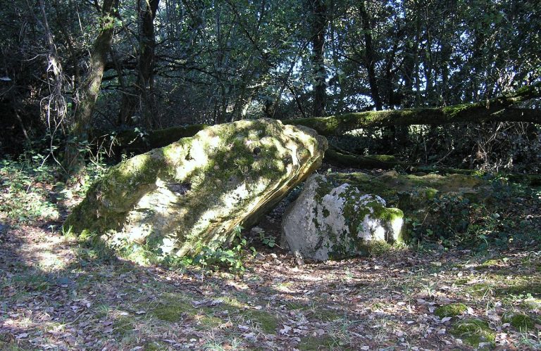 Dolmen effondré appelé la Pierre Levée de Berthe-grille
