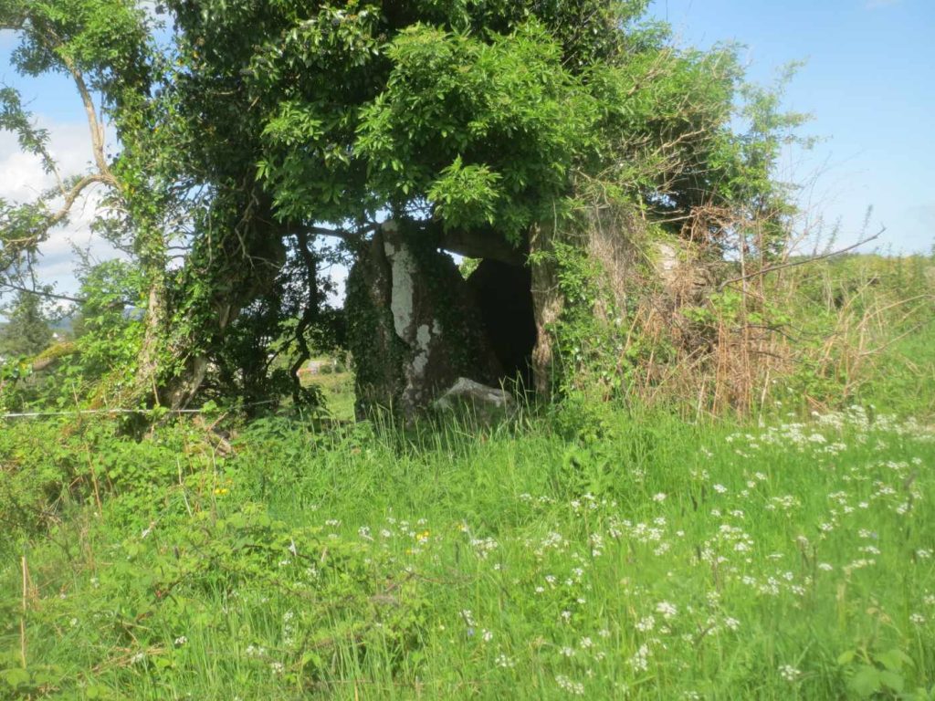 Drumany Megalithic site