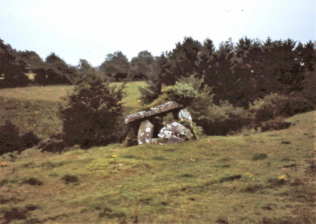 Fenagh Beg Megaliths