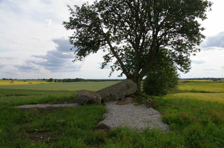 Firse Sten