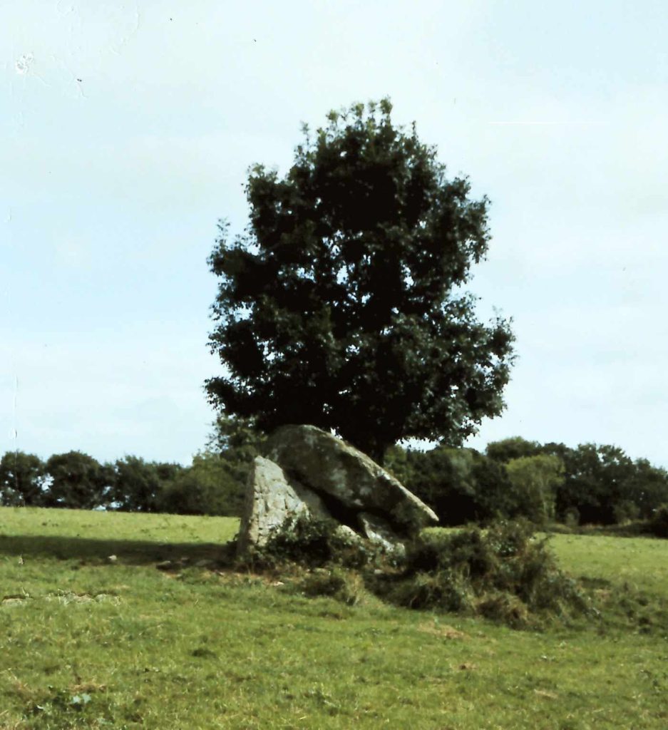 Glencloghlea Portal Tomb