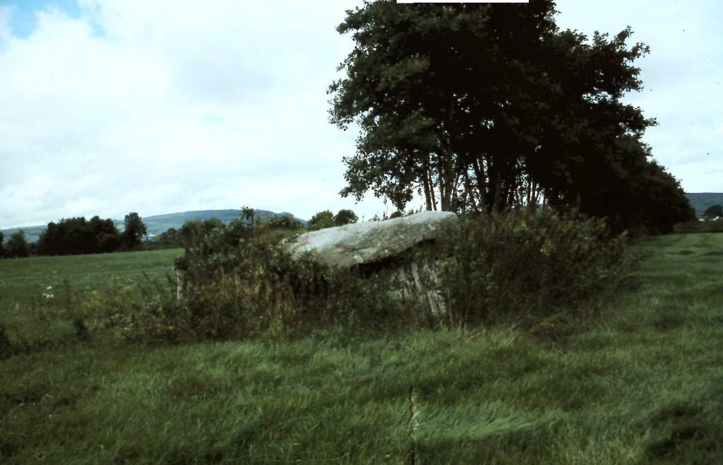 Killoneery Portal Tomb