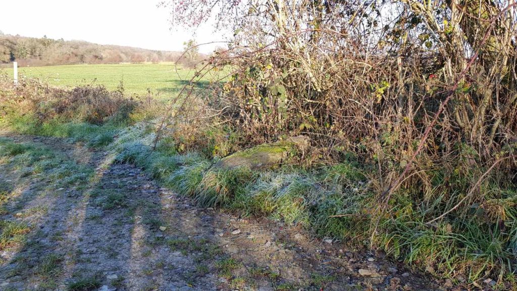 Menhir of Morville