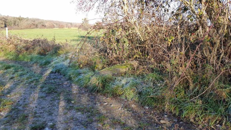Menhir of Morville