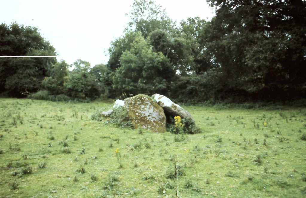 Owning Portal Tomb