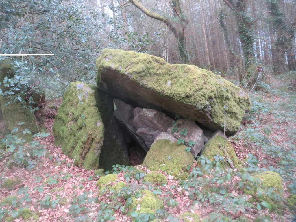 Raheen Portal Tomb